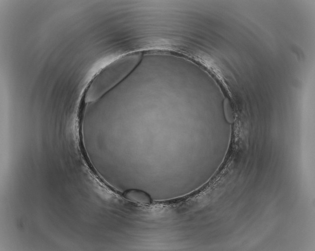 X0000113271072200909241538