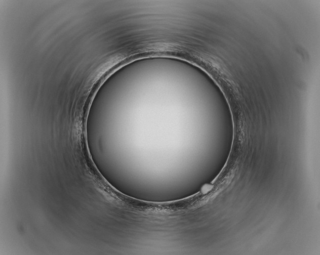 X0000113271073200909241538