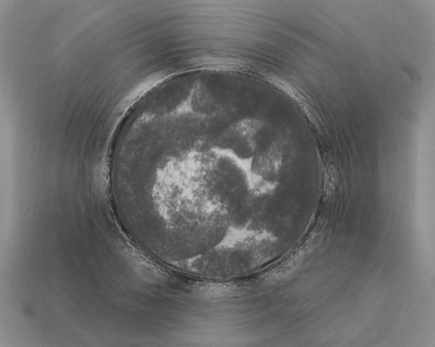 X0000113271074200909241538