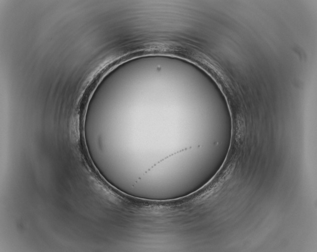 X0000113271075200909241538