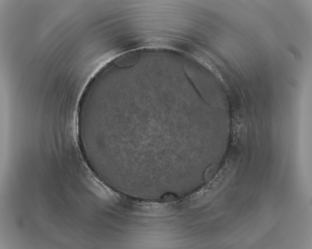 X0000113271076200909241538