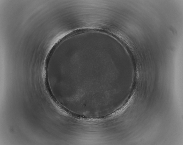 X0000113271077200909241538