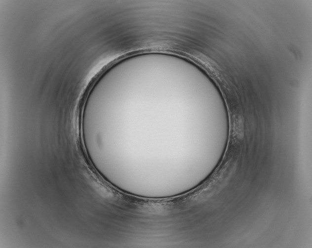 X0000113271078200909241538