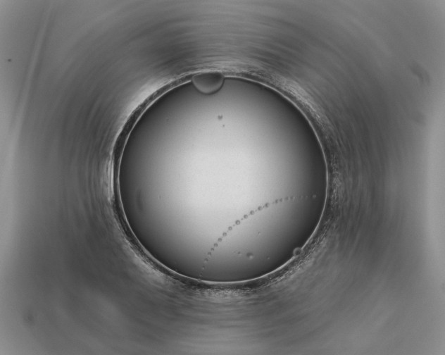 X0000113271079200909241538