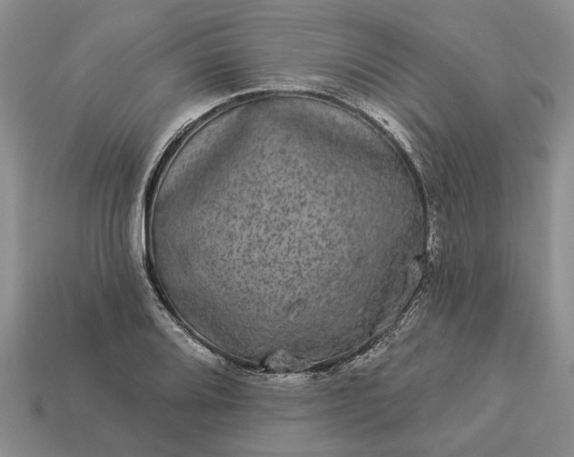 X0000113271080200909241538