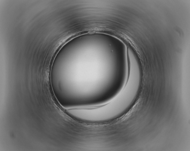 X0000113271081200909241538