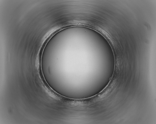 X0000113271082200909241538