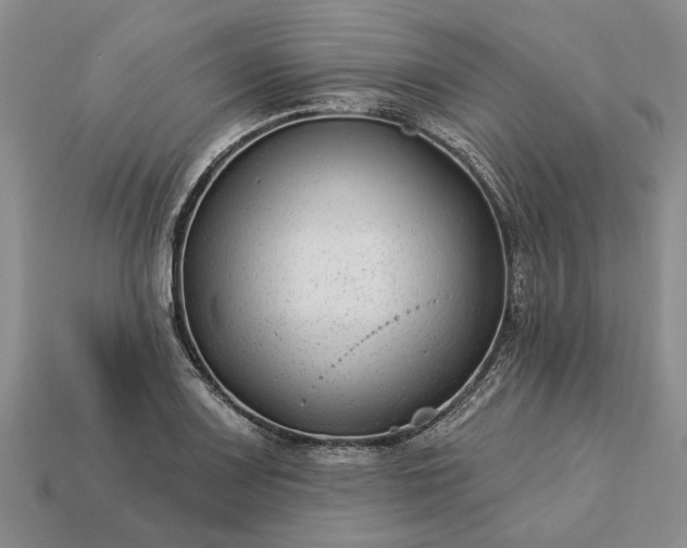 X0000113271083200909241538