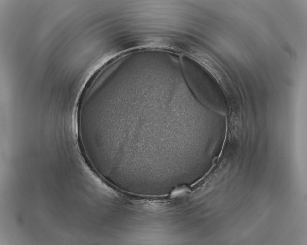 X0000113271084200909241538
