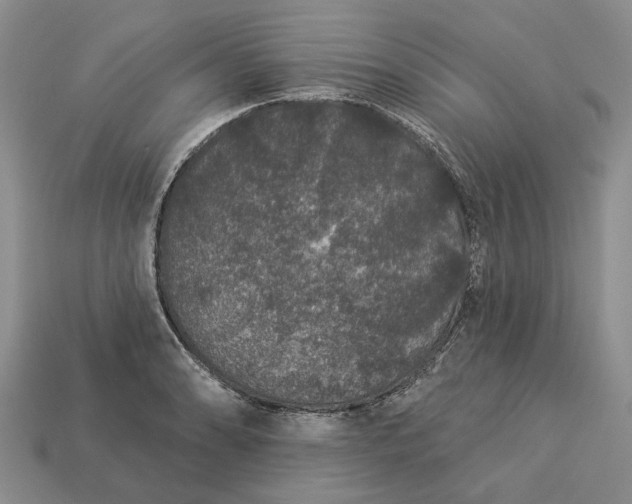 X0000113271086200909241538