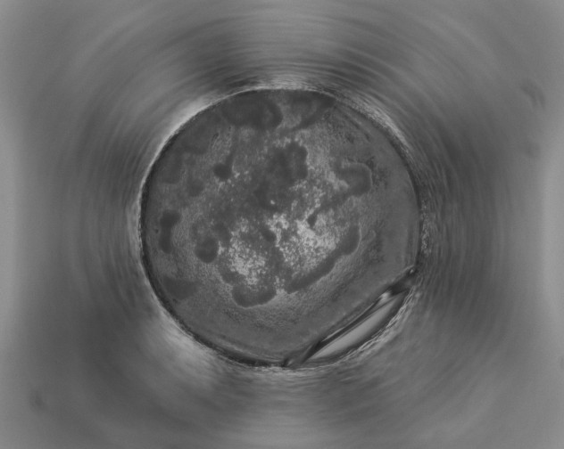 X0000113271087200909241538