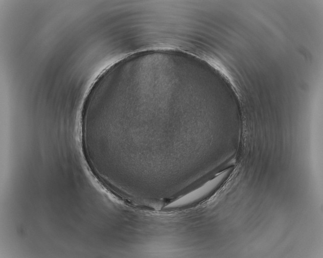 X0000113271088200909241538