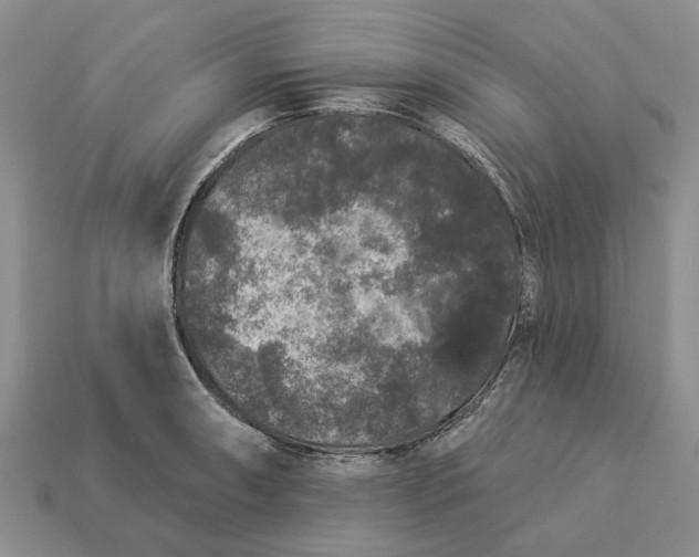 X0000113271090200909241538