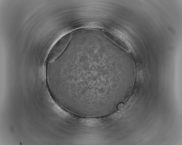 X0000113271092200909241538