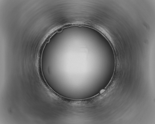 X0000113271093200909241538