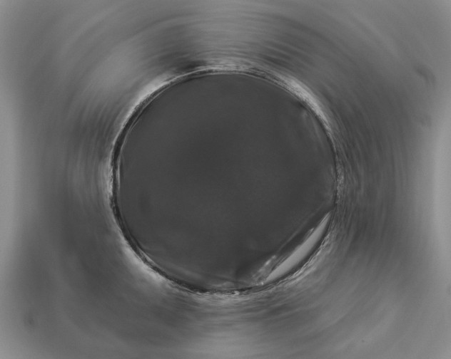 X0000113271095200909241538