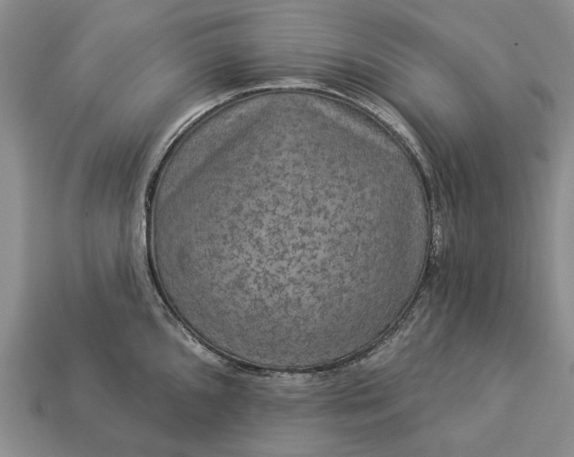 X0000113271096200909241538