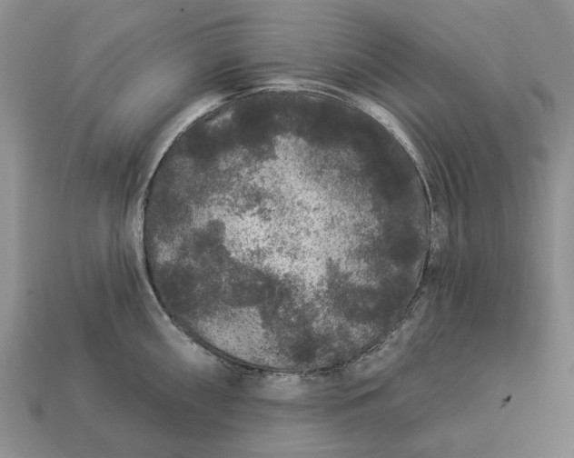 X0000113271098200909241538