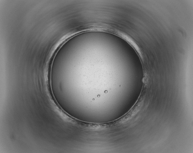 X0000113271099200909241538