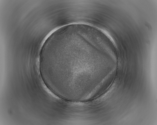 X0000113271100200909241538