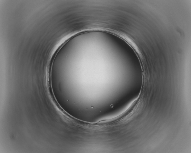 X0000113271101200909241538