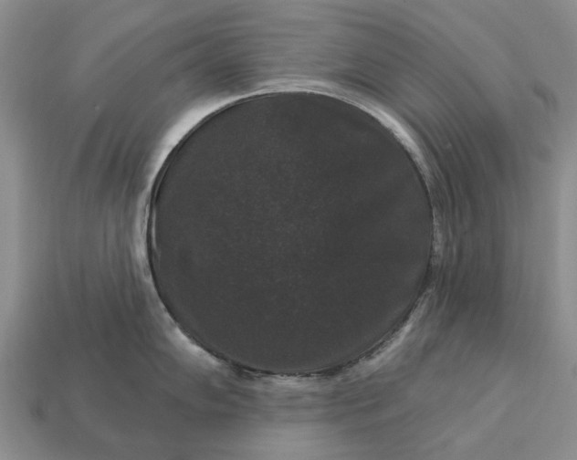 X0000113271102200909241538