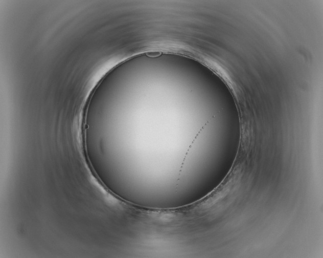 X0000113271103200909241538