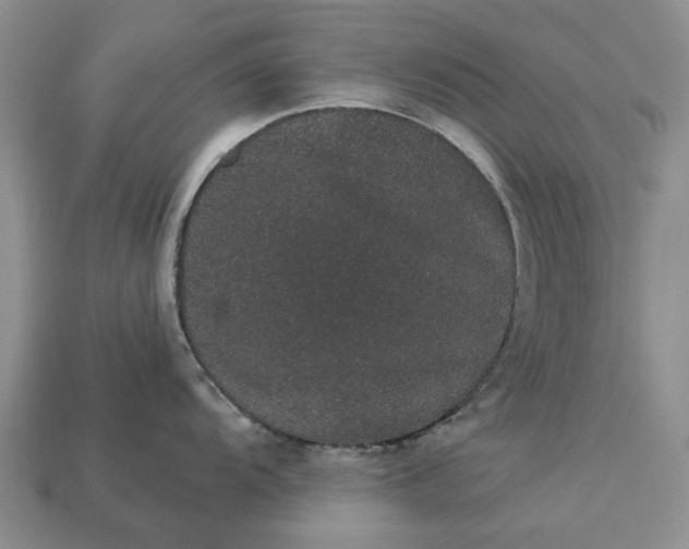 X0000113271104200909241538