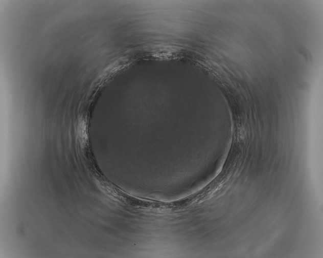 X0000113271106200909241537