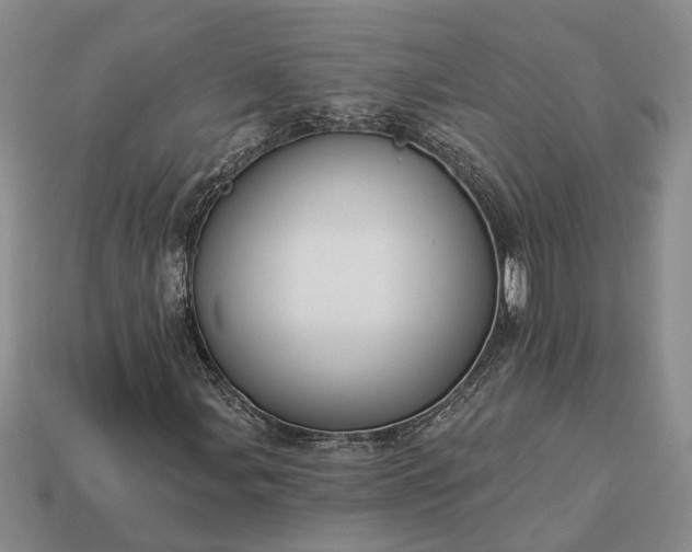 X0000113271107200909241537