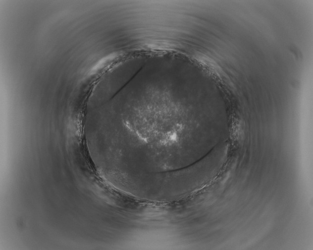 X0000113271110200909241537