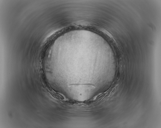 X0000113271112200909241537