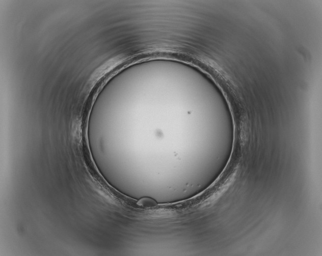 X0000113271113200909241537