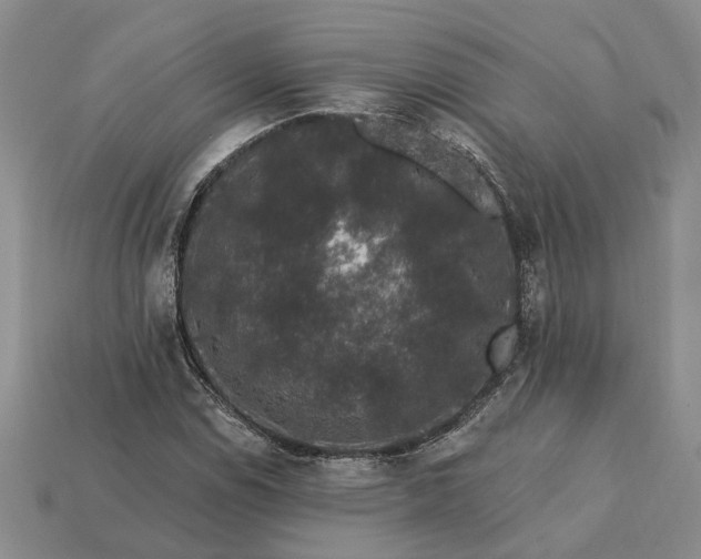 X0000113271114200909241537