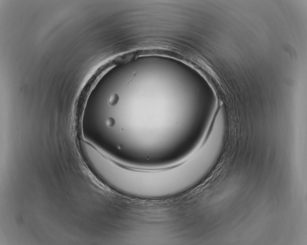 X0000113271116200909241537