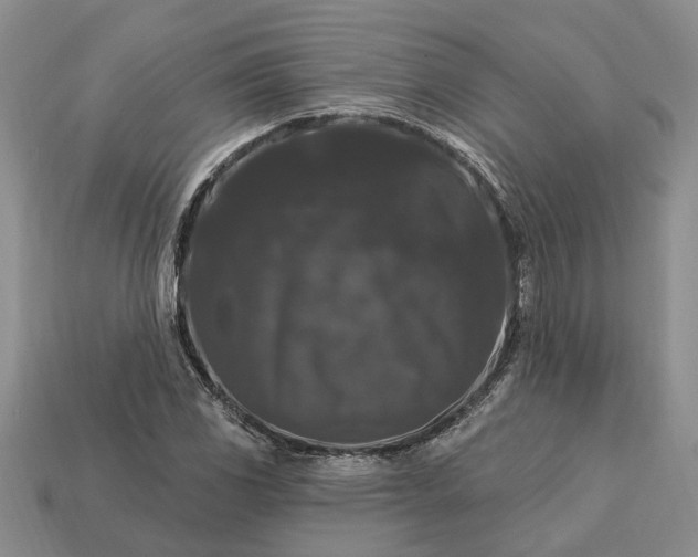 X0000113271117200909241537