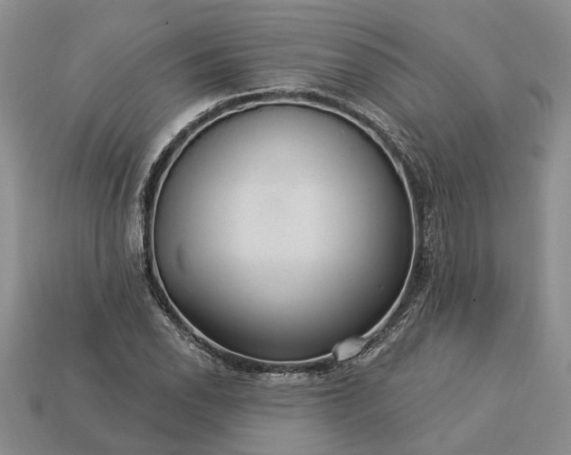 X0000113271118200909241537