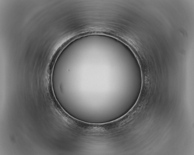 X0000113271119200909241537