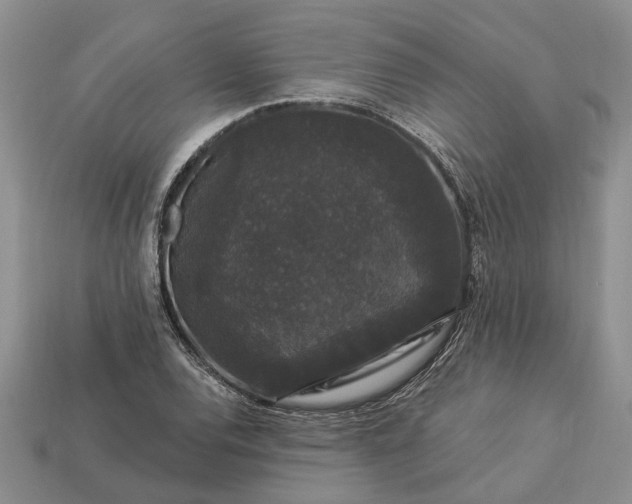 X0000113271120200909241537