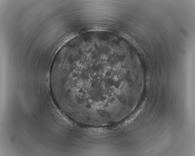 X0000113271121200909241537