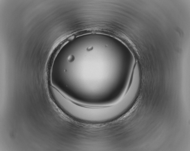X0000113271122200909241537