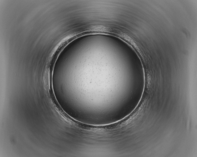 X0000113271123200909241537