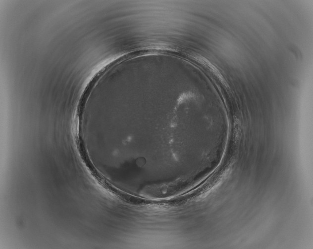 X0000113271125200909241537