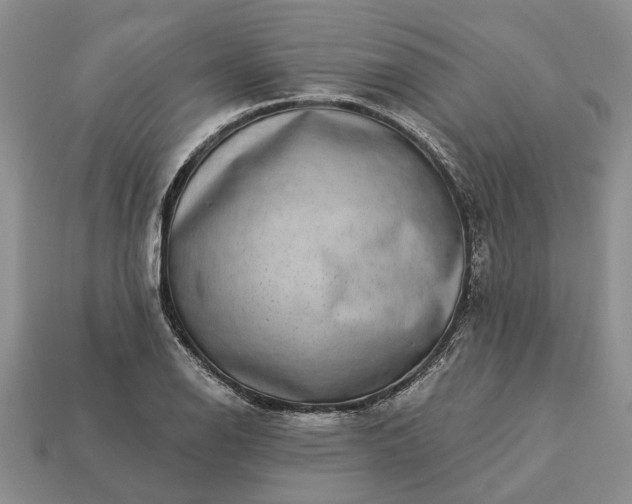 X0000113271126200909241537