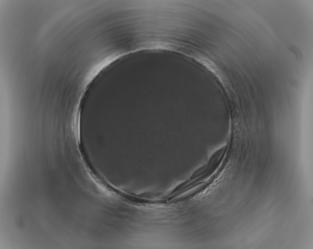X0000113271127200909241537