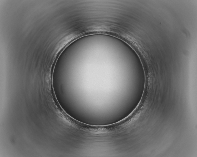 X0000113271129200909241537