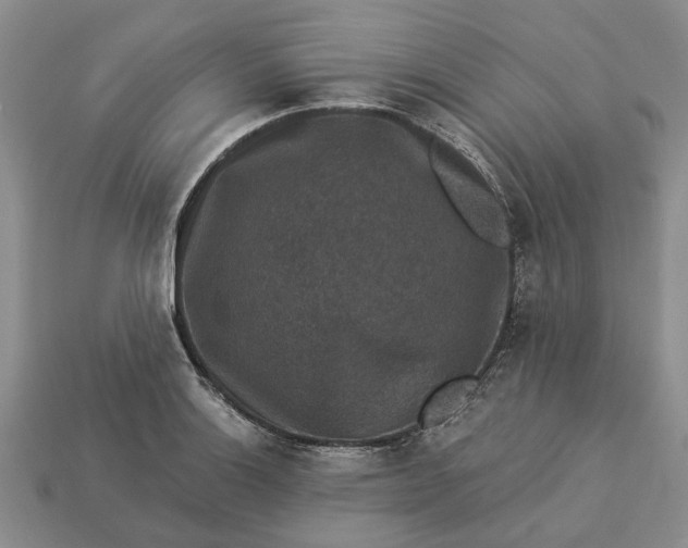 X0000113271132200909241537