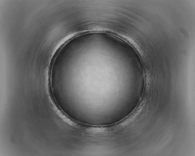 X0000113271134200909241537