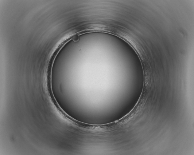 X0000113271139200909241537