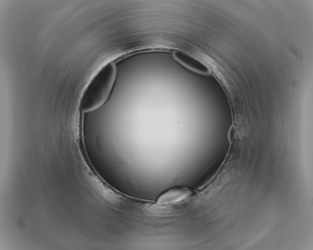 X0000113271140200909241537